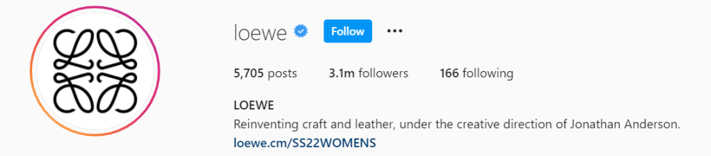 Loewe x Pontormo